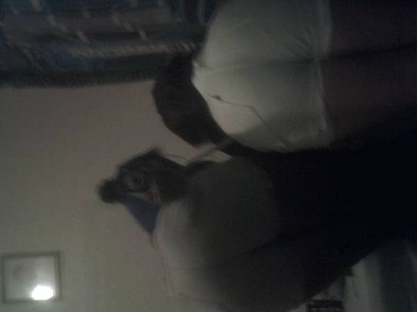 Sex COLORADO SLUTS #7 image