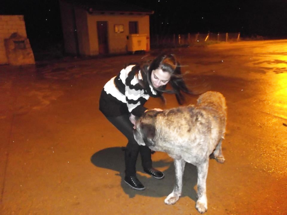 Sex Arab Best Mix 110 image