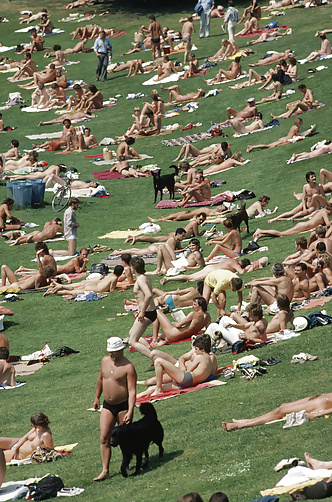 Sex nude fun in the sun - caught on the beach image