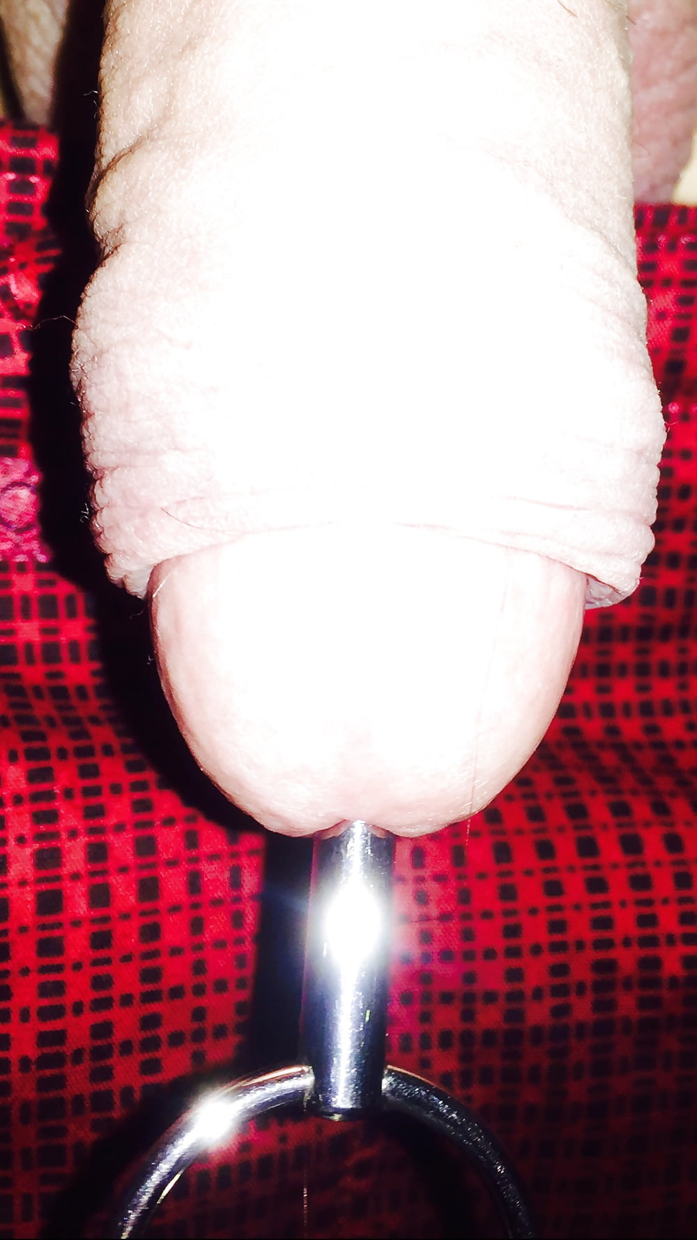 Sex A day with a 12 mm cock plug image