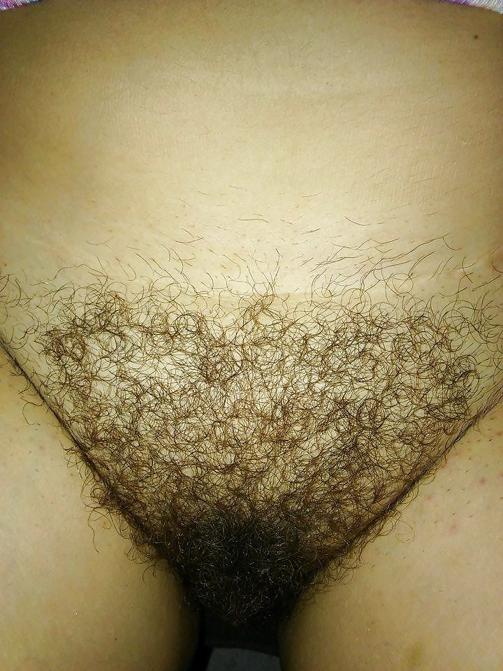 Sex Wife's Hairy pussy image