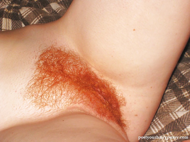 Sex Hairy pussy redhead image