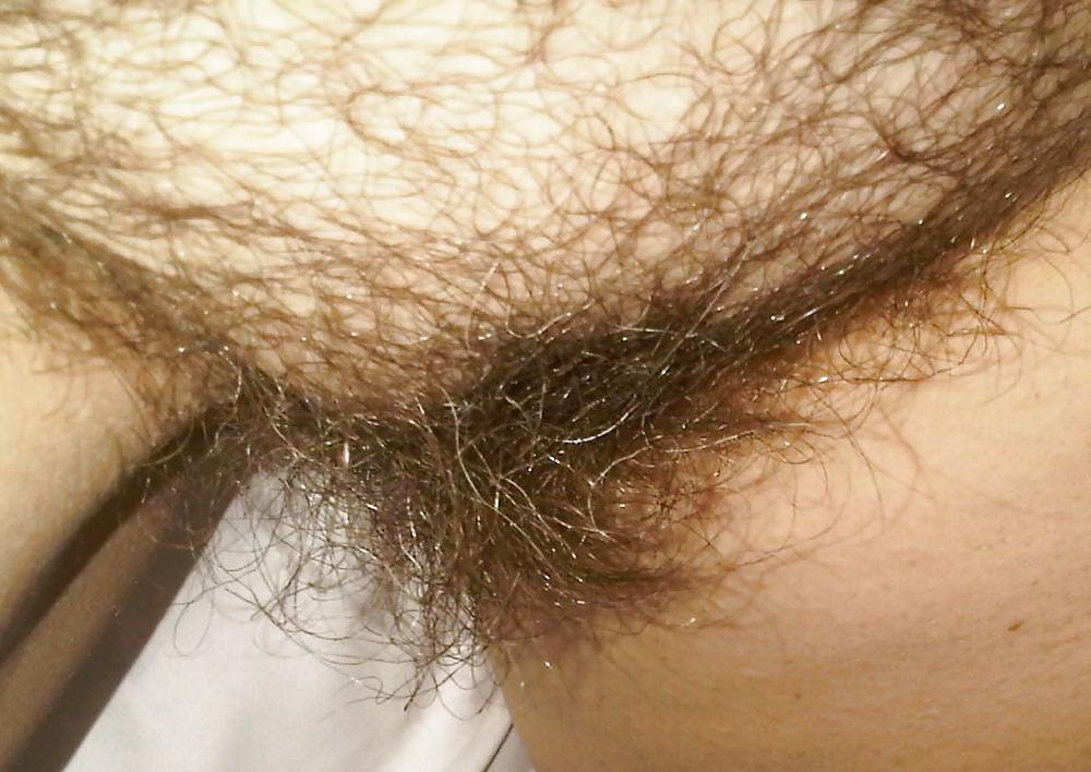 Sex Amateur Hairy - Jotha Hele image