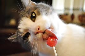 my pussy wants to taste your lollipop