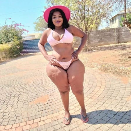 curvy wild horse free photos         