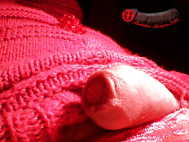 Sex Maddalena 2016 image