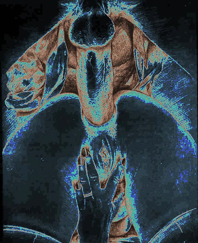 Sex Analart - Twisted colors image