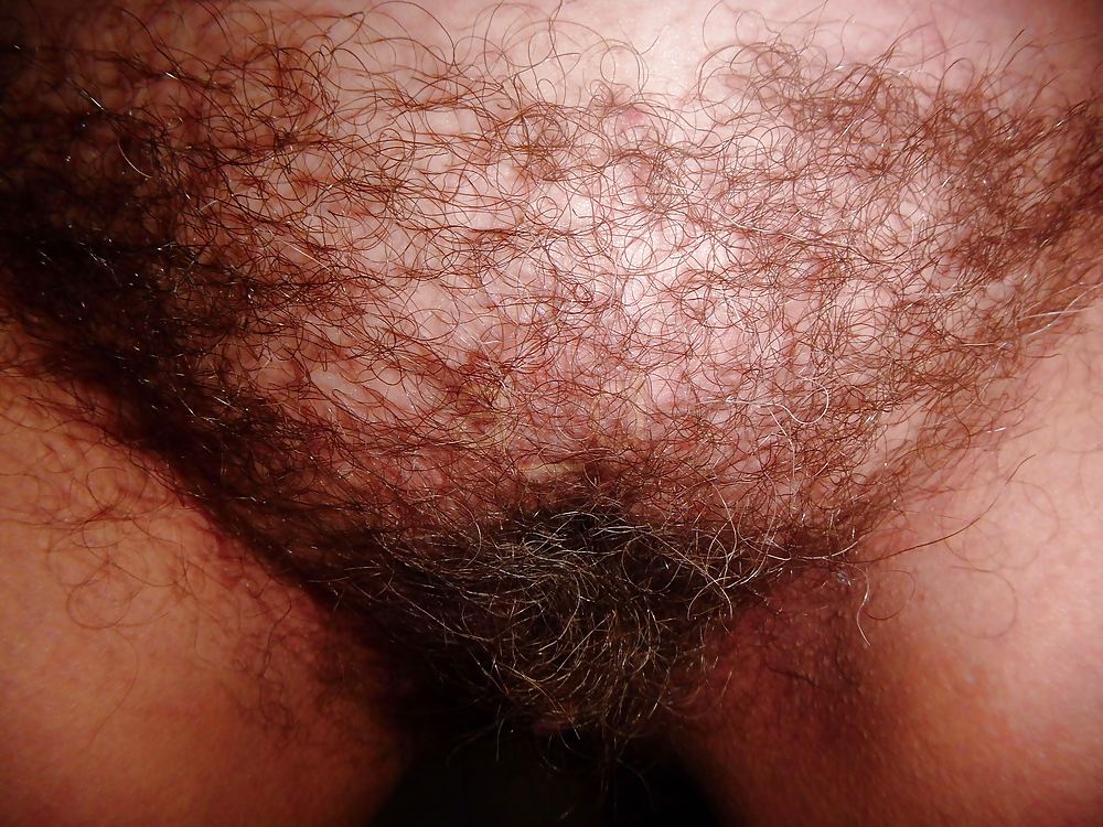Sex Hairy and Shaved image