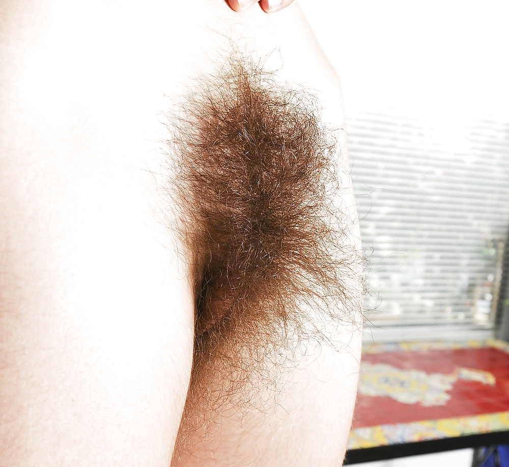 Visualiser Longest Pussy Hair - 24 photos chez xHamster.com