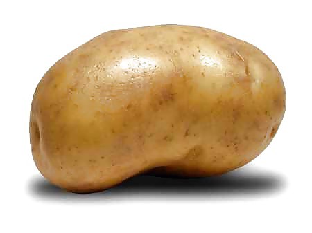 La mia patata