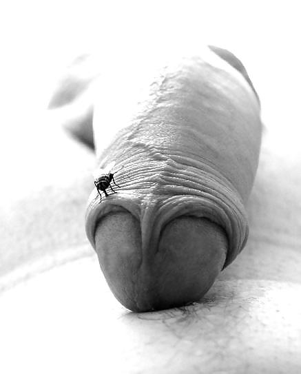 Sex Something is funny image
