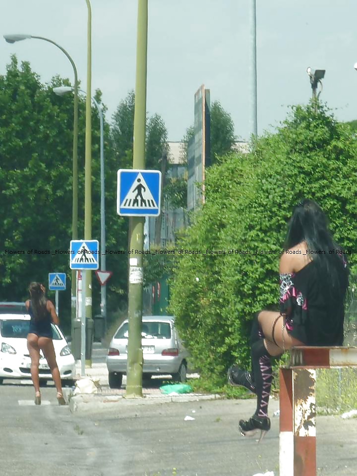 Sex Prostitutes on streets image