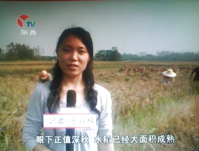 Sex Chinese Office Worker Leaked. image