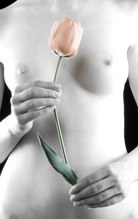 Sex found: flowers image