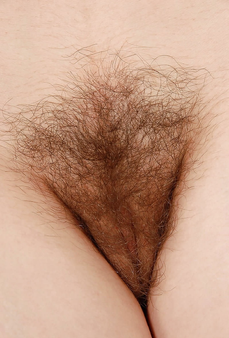 Sex Beautiful & hairy 2 image