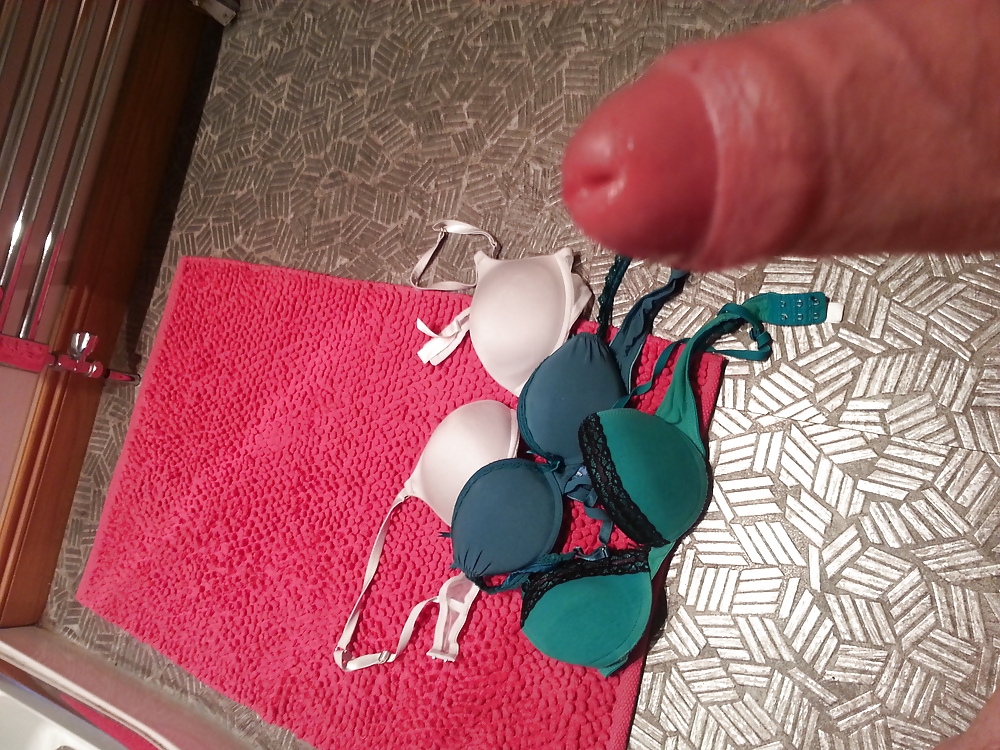 Sex wanking over younger step-sisters bra's image
