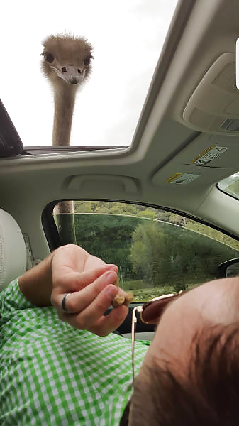 Sex Girls and Diverses 91 image