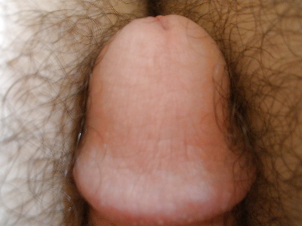 Sex Me and My Cock image