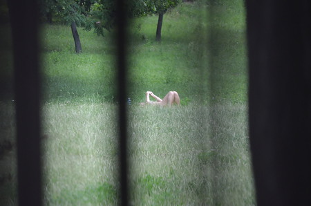 Sunbathing in the park