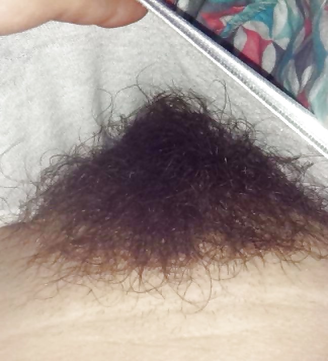 Sex Hairy Pussy Mix 7 image