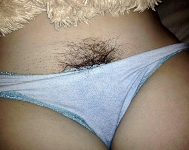Amazing hairy bushy pussies in panties - 24 Photos 