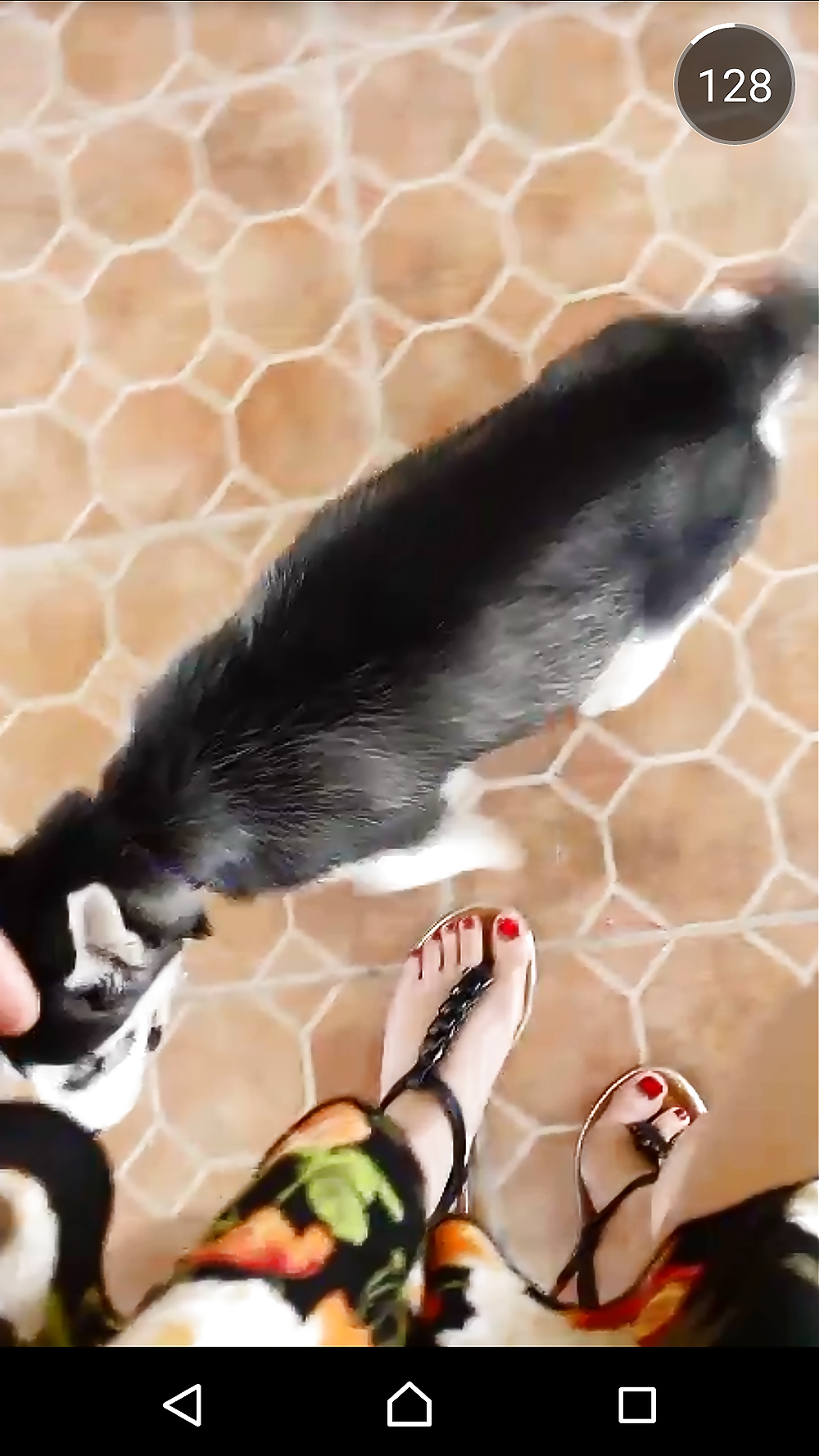 Sex cute feet image