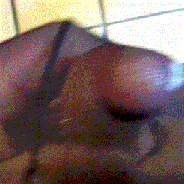 My Cock an Cumshots Gif-gallery  #6