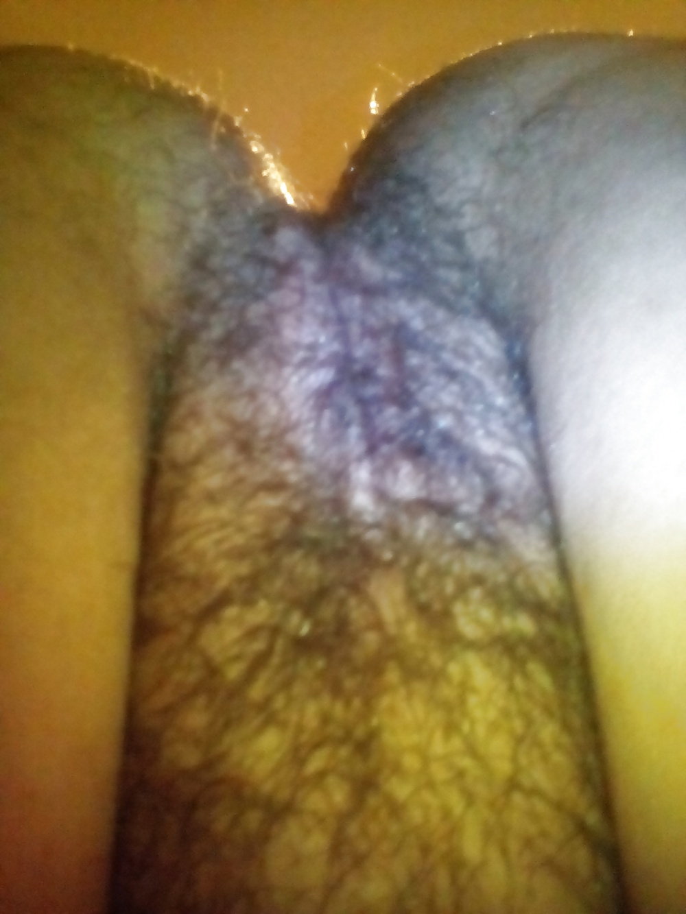 Sex 27-12-2015 image