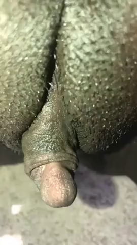 Big pussy, big labia, saggy tits, belly, big ass, hairy - 25 Photos 