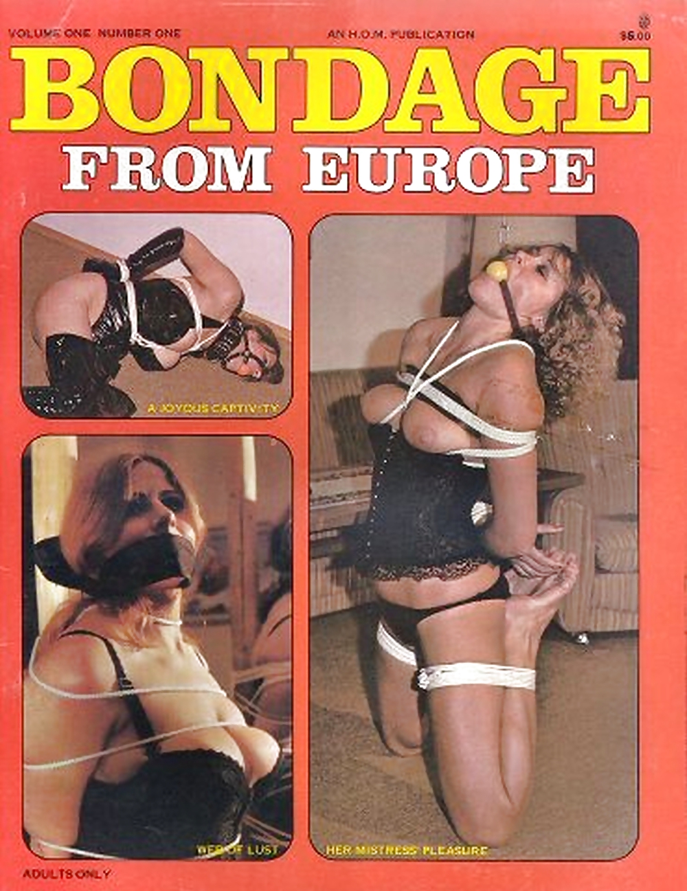 Sex My Vintage Bondage Magazines (covers ) Part 2 image